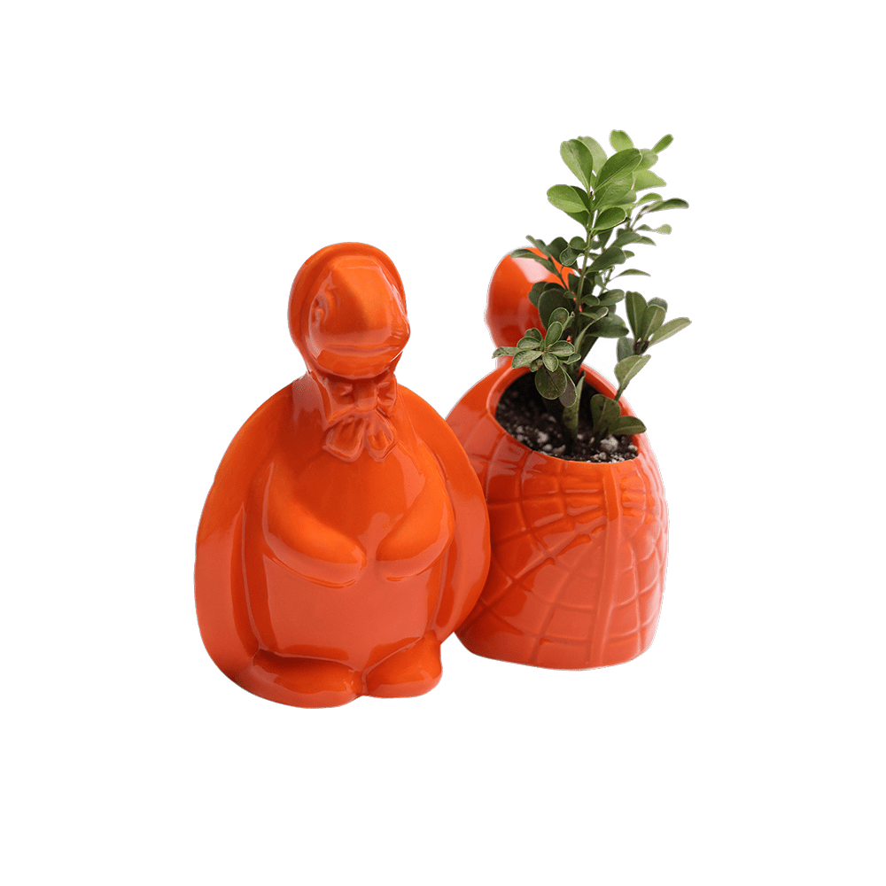 Turtle Ceramic Indoor Plant Pot For Succulents - Chive Ceramics Studio - Pots - Chive US