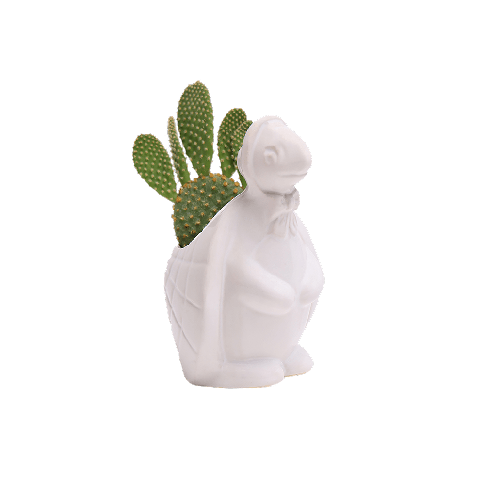 Turtle Ceramic Indoor Plant Pot For Succulents - Chive Ceramics Studio - Pots - Chive US