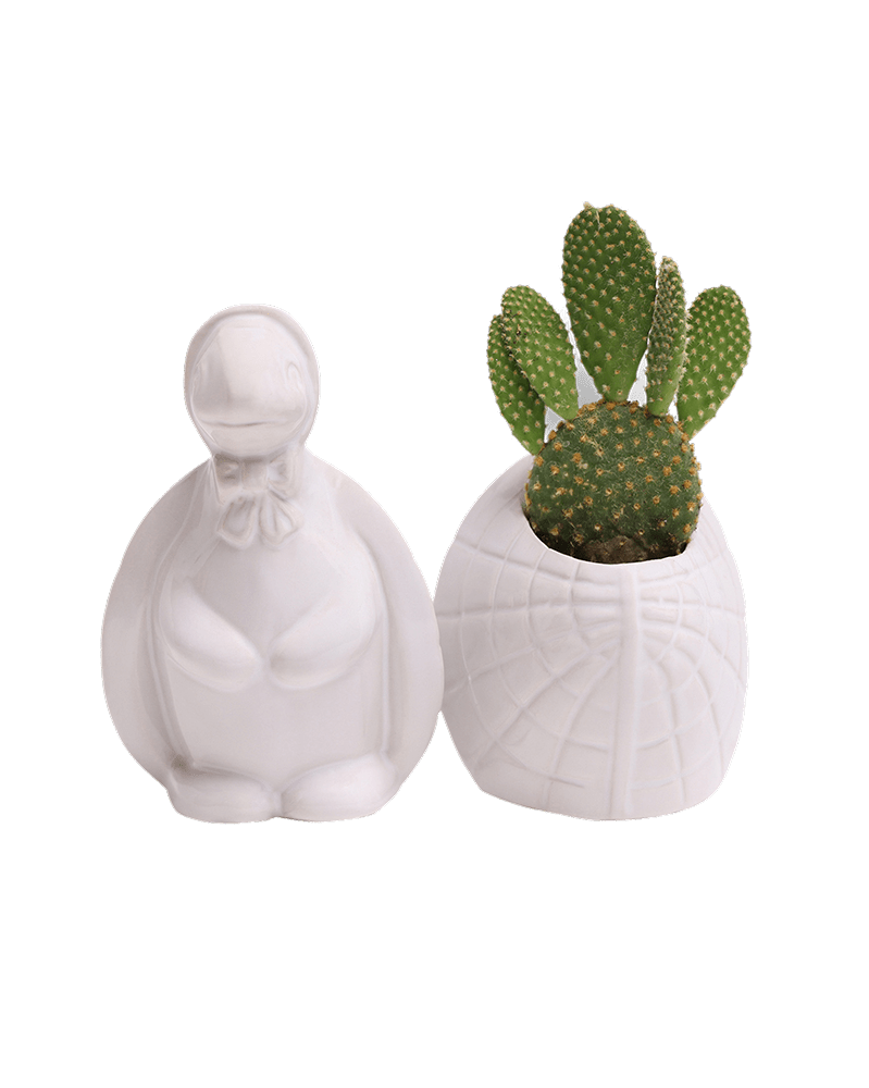 Turtle Ceramic Indoor Plant Pot For Succulents - Chive Ceramics Studio - Pots - Chive US