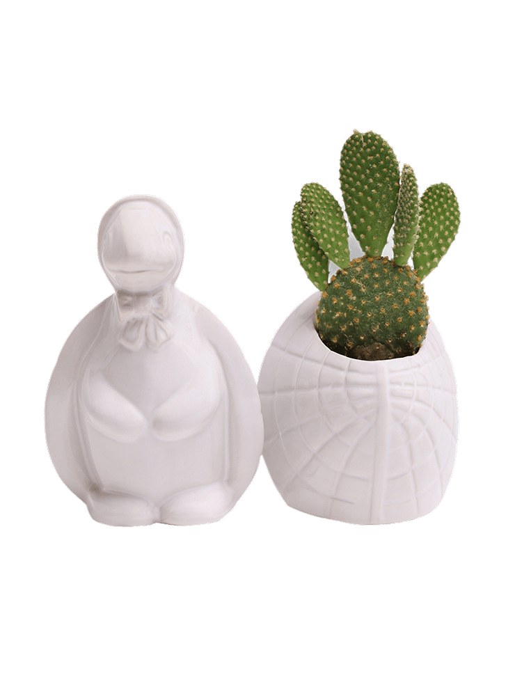 Turtle Ceramic Indoor Plant Pot For Succulents - Chive Ceramics Studio - Pots - Chive US