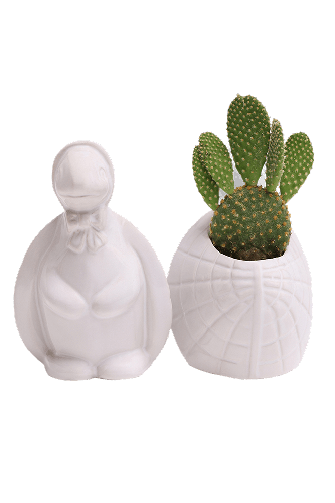 Turtle Ceramic Indoor Plant Pot For Succulents - Chive Ceramics Studio - Pots - Chive US