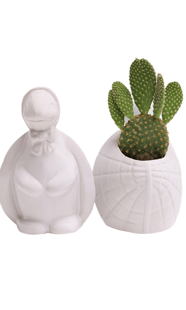 Turtle Ceramic Indoor Plant Pot For Succulents - Chive Ceramics Studio - Pots - Chive US