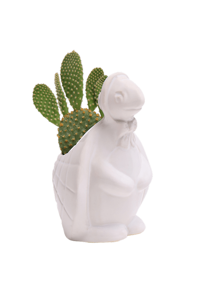 Turtle Ceramic Indoor Plant Pot For Succulents - Chive Ceramics Studio - Pots - Chive Ceramics Studio