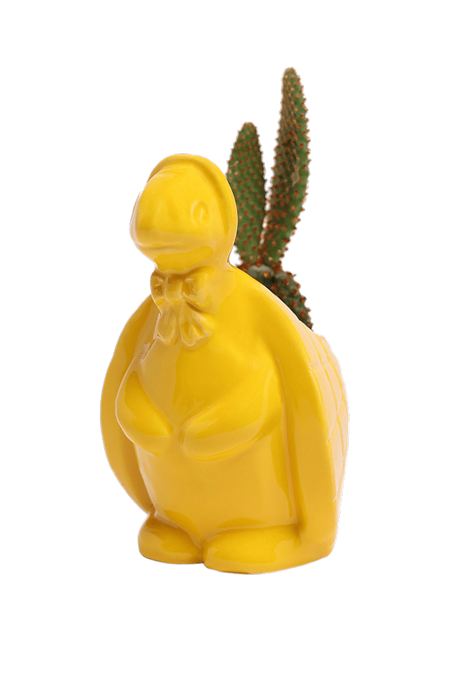 Turtle Ceramic Indoor Plant Pot For Succulents - Chive Ceramics Studio - Pots - Chive US