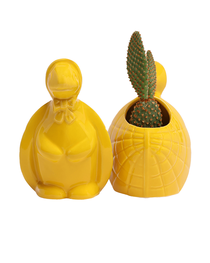 Turtle Ceramic Indoor Plant Pot For Succulents - Chive Ceramics Studio - Pots - Chive US