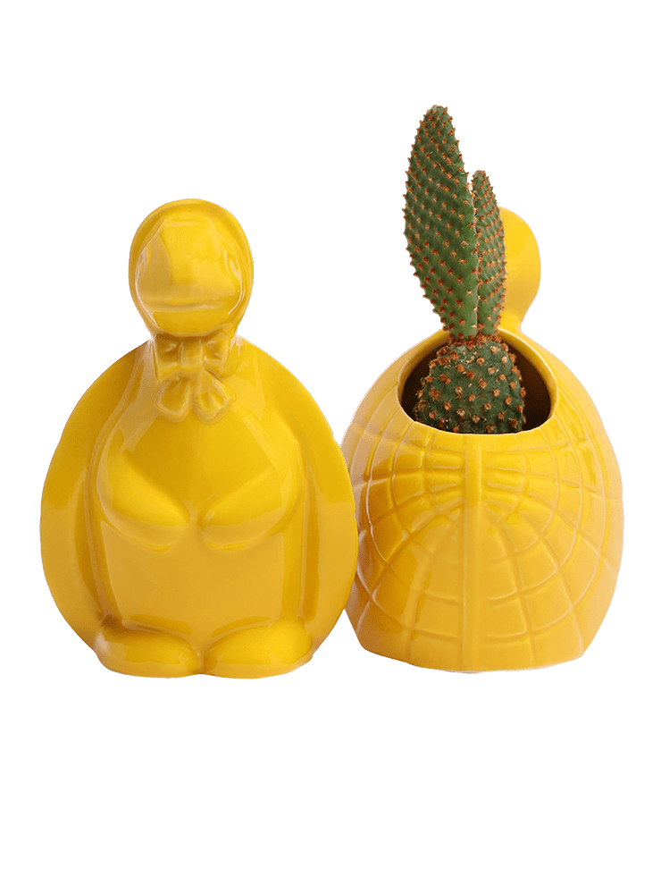 Turtle Ceramic Indoor Plant Pot For Succulents - Chive Ceramics Studio - Pots - Chive US