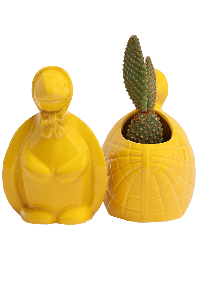 Turtle Ceramic Indoor Plant Pot For Succulents - Chive Ceramics Studio - Pots - Chive US