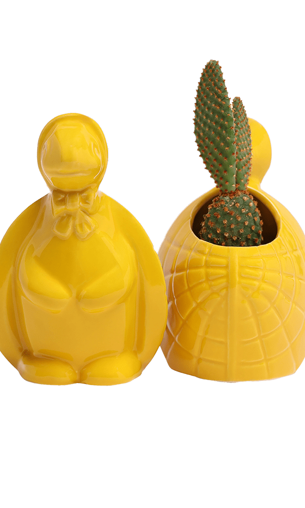 Turtle Ceramic Indoor Plant Pot For Succulents - Chive Ceramics Studio - Pots - Chive US