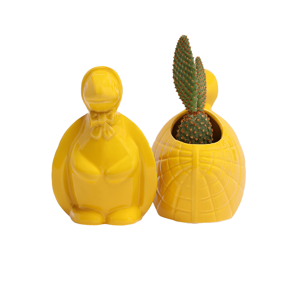 Turtle Ceramic Indoor Plant Pot For Succulents - Chive Ceramics Studio - Pots - Chive US