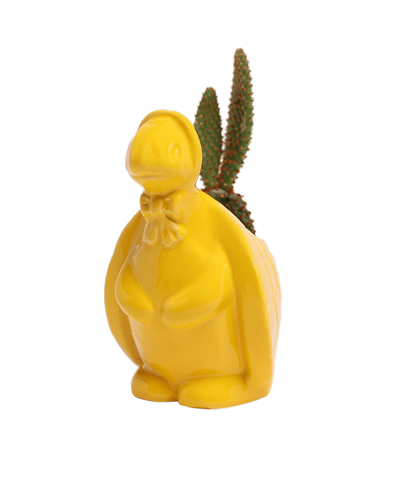 Turtle Ceramic Indoor Plant Pot For Succulents - Chive Ceramics Studio - Pots - Chive Ceramics Studio