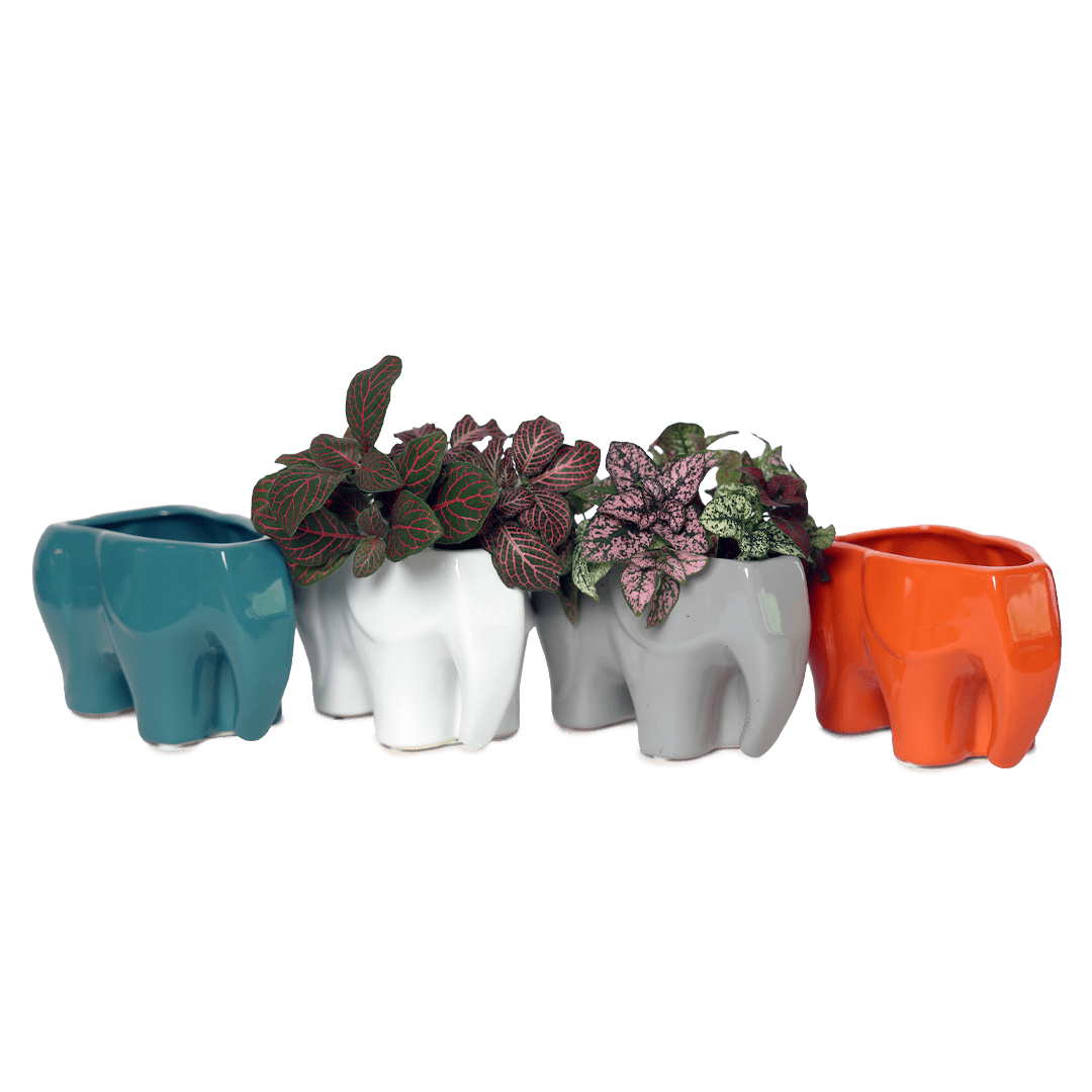Elephant Ceramic Indoor Plant Pot For Succulents - Chive Ceramics Studio - Pots - Chive Ceramics Studio