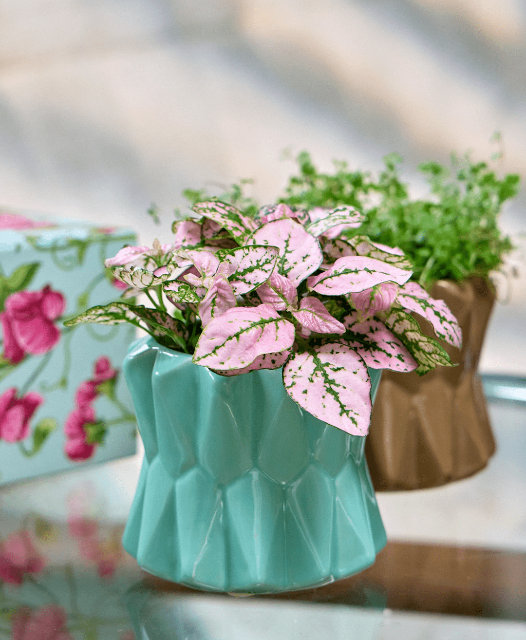 Fang Ceramic Modern Planter For Succulents - Chive Ceramics Studio - Pots - Chive Ceramics Studio