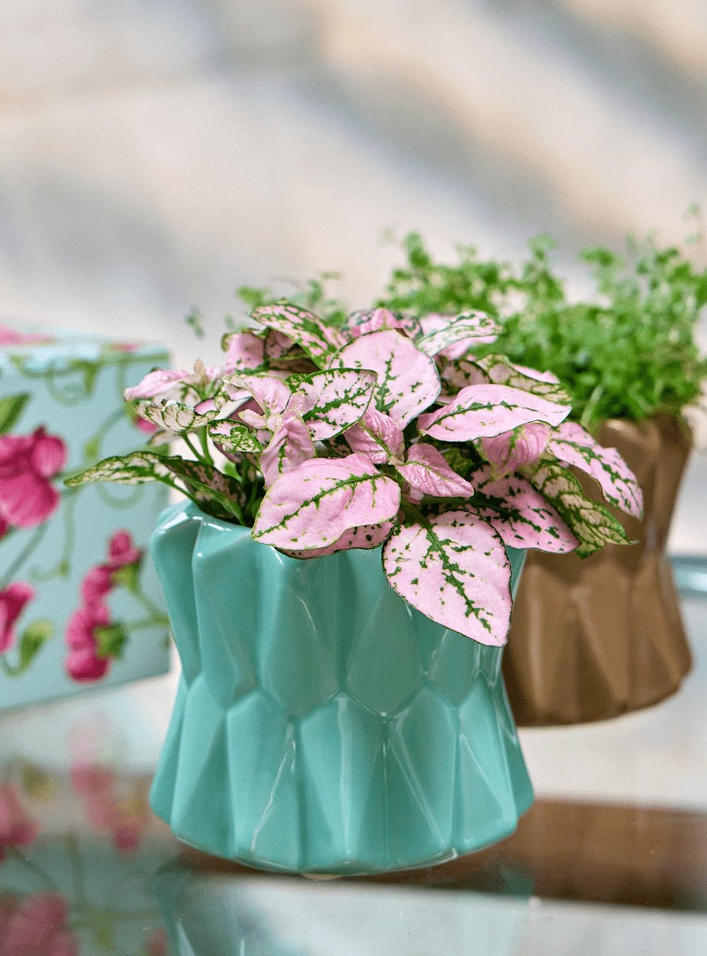 Fang Ceramic Modern Planter For Succulents - Chive Ceramics Studio - Pots - Chive Ceramics Studio