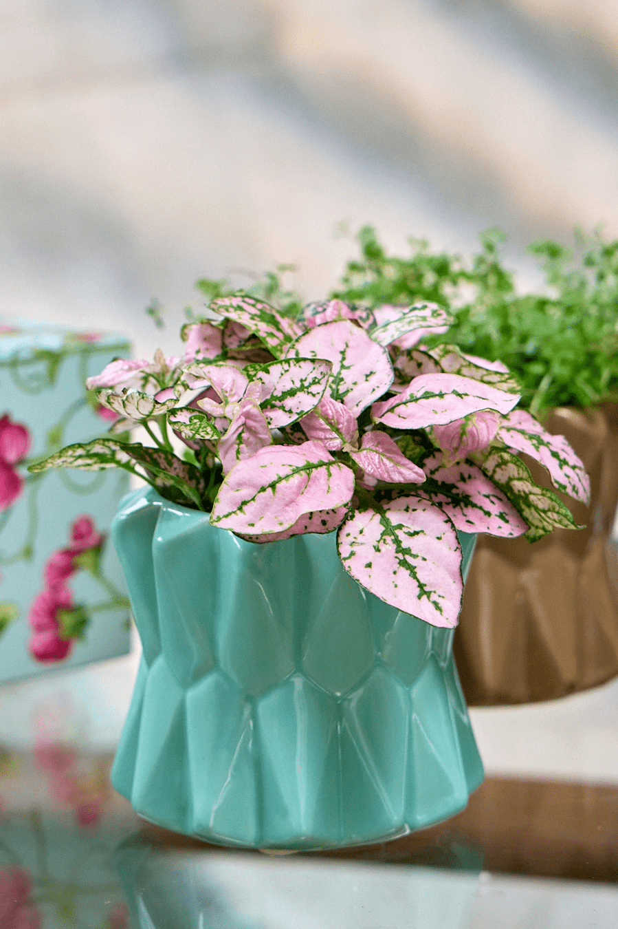 Fang Ceramic Modern Planter For Succulents - Chive Ceramics Studio - Pots - Chive Ceramics Studio