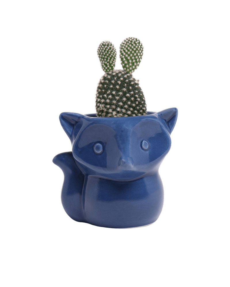 Fox Ceramic Indoor Plant Pot For Succulents - Chive Ceramics Studio - Pots - Chive Ceramics Studio