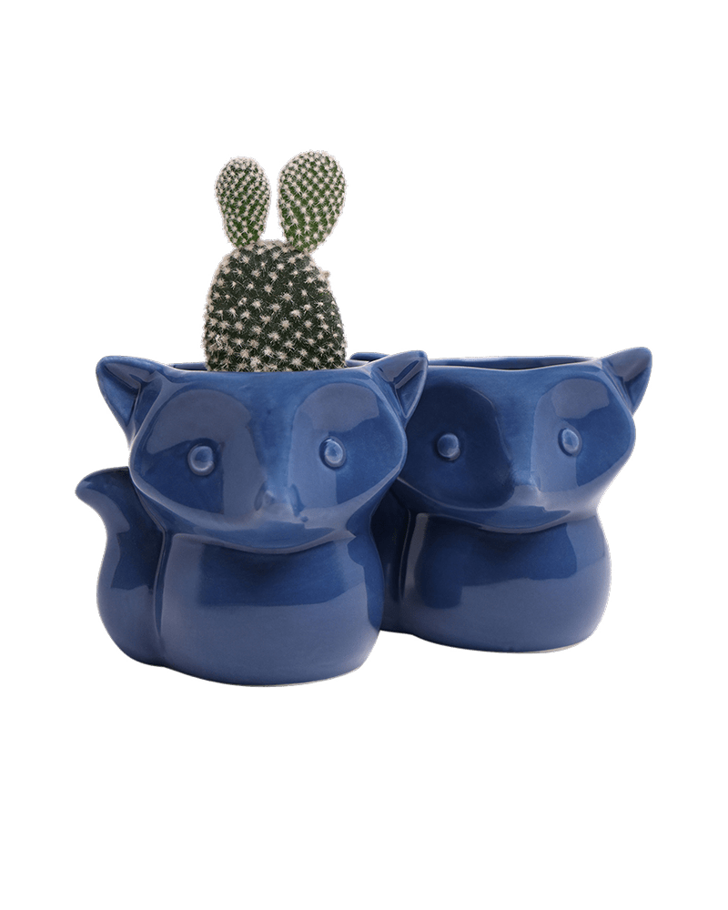Fox Ceramic Indoor Plant Pot For Succulents - Chive Ceramics Studio - Pots - Chive Ceramics Studio