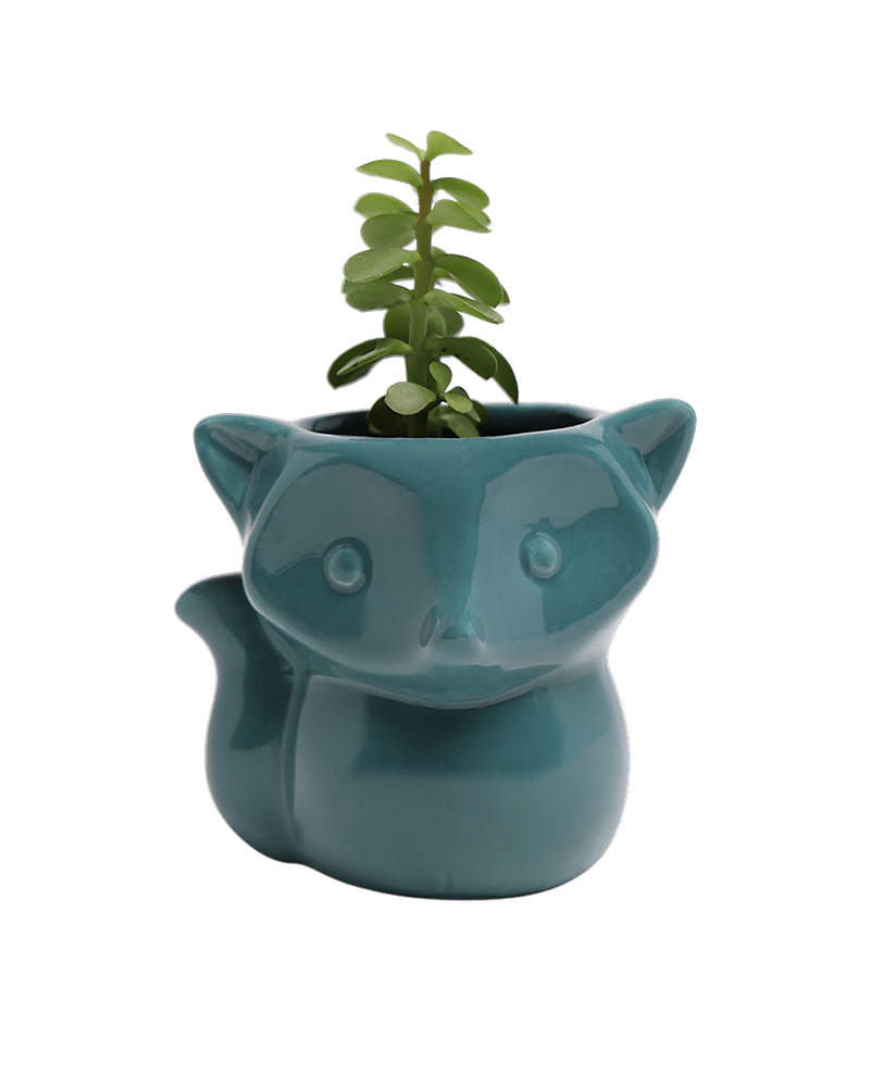 Fox Ceramic Indoor Plant Pot For Succulents - Chive Ceramics Studio - Pots - Chive Ceramics Studio