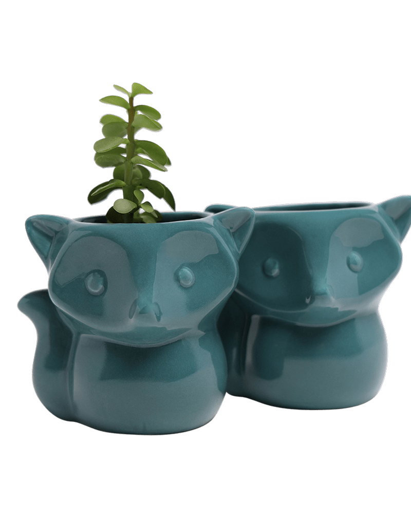 Fox Ceramic Indoor Plant Pot For Succulents - Chive Ceramics Studio - Pots - Chive Ceramics Studio