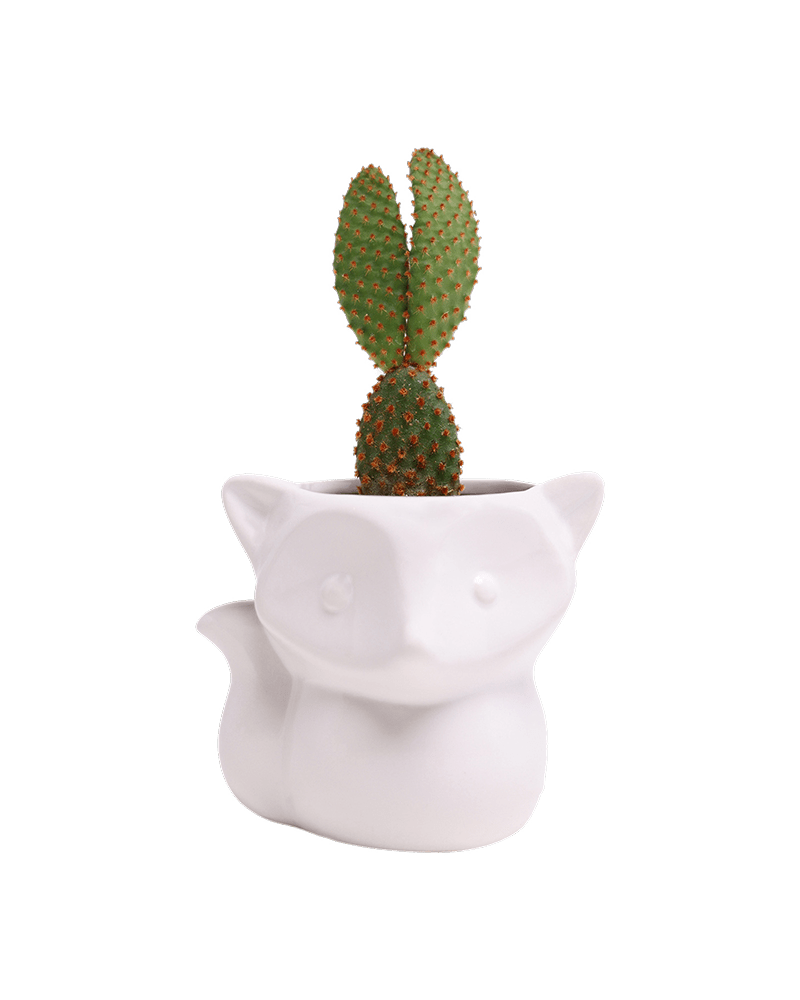 Fox Ceramic Indoor Plant Pot For Succulents - Chive Ceramics Studio - Pots - Chive Ceramics Studio