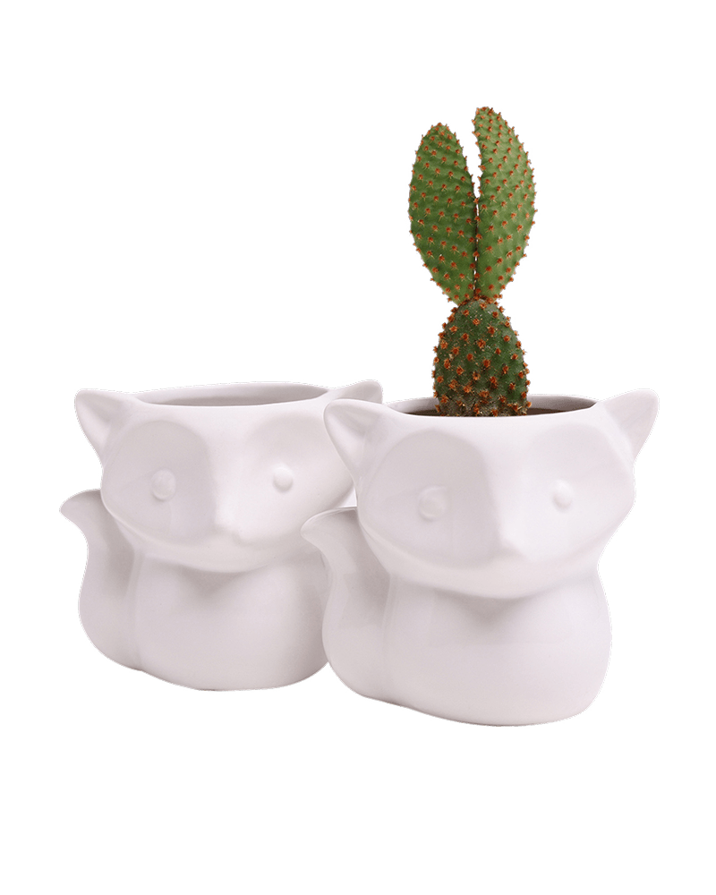 Fox Ceramic Indoor Plant Pot For Succulents - Chive Ceramics Studio - Pots - Chive Ceramics Studio