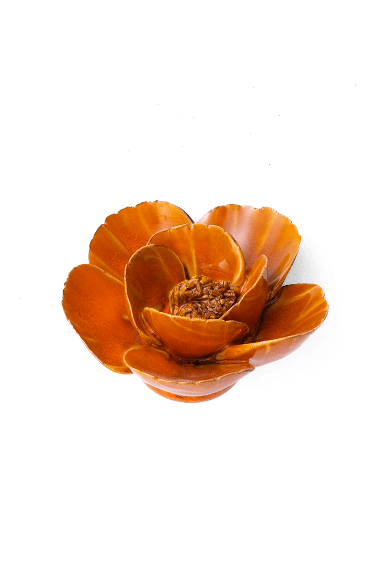 Orange Poppy ceramic wall flower — France collection — designed in Toronto by Chive Studio