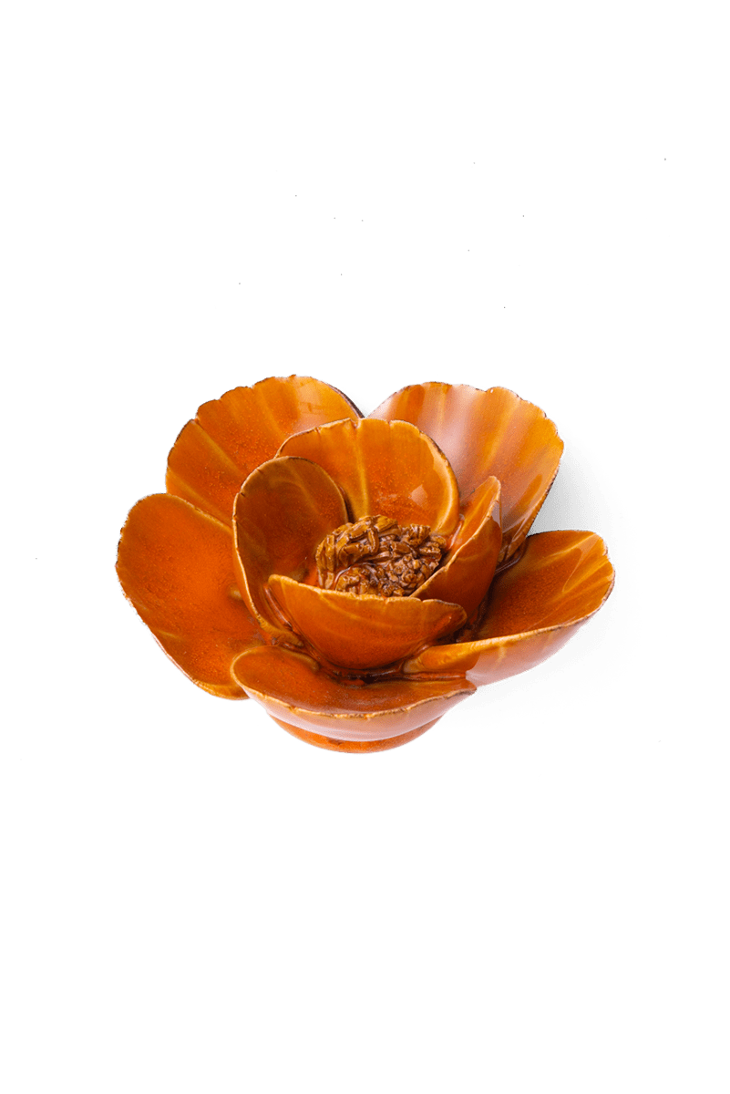 Orange Poppy ceramic wall flower — France collection — designed in Toronto by Chive Studio