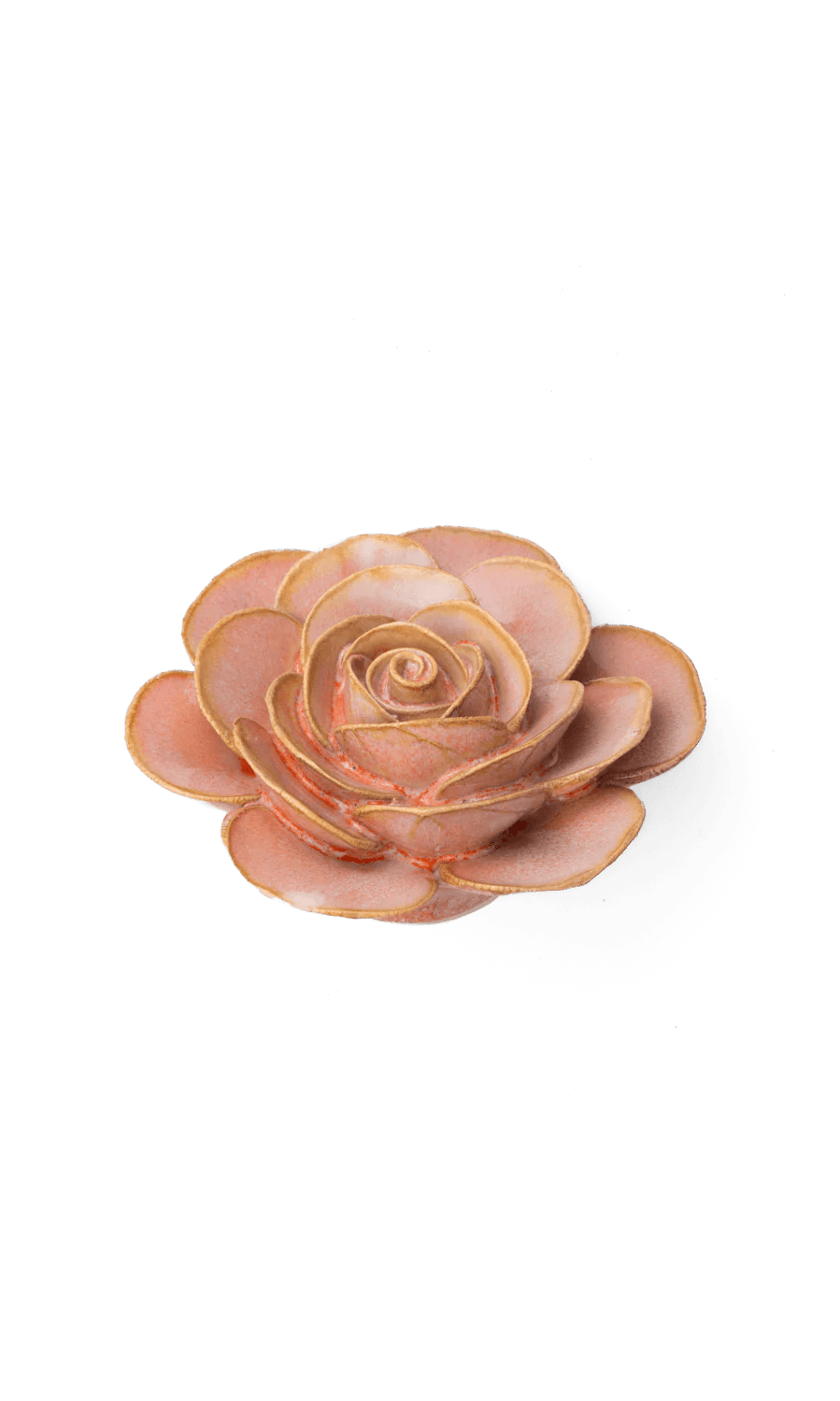 Peach Pink Ranunculus ceramic wall flower — France collection — designed in Toronto by Chive Studio