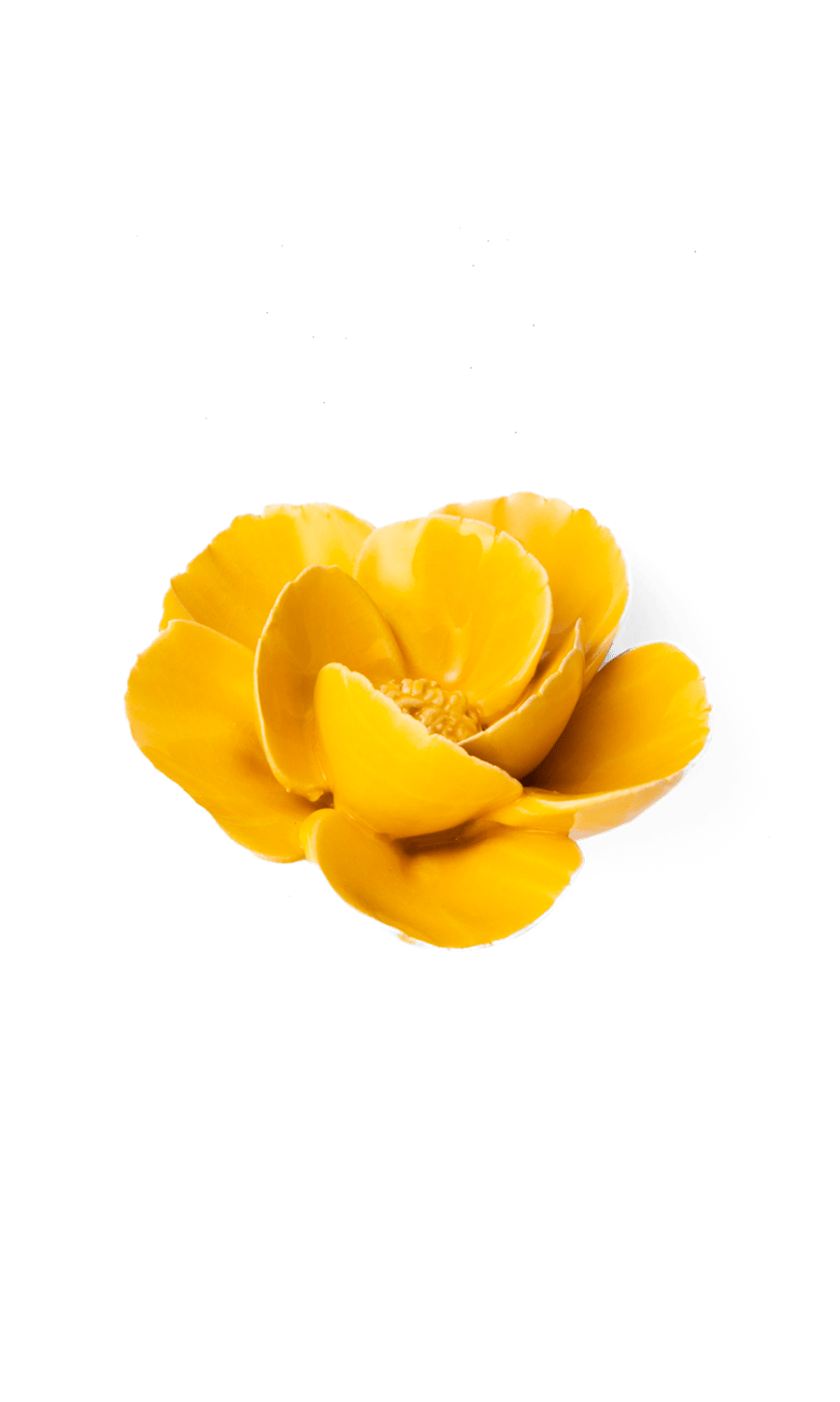 Burnt Yellow Poppy ceramic wall flower — France collection — designed in Toronto by Chive Studio