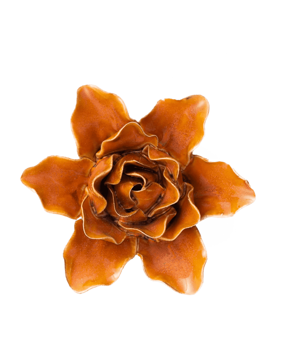 Burnt Orange Stargazer Lily