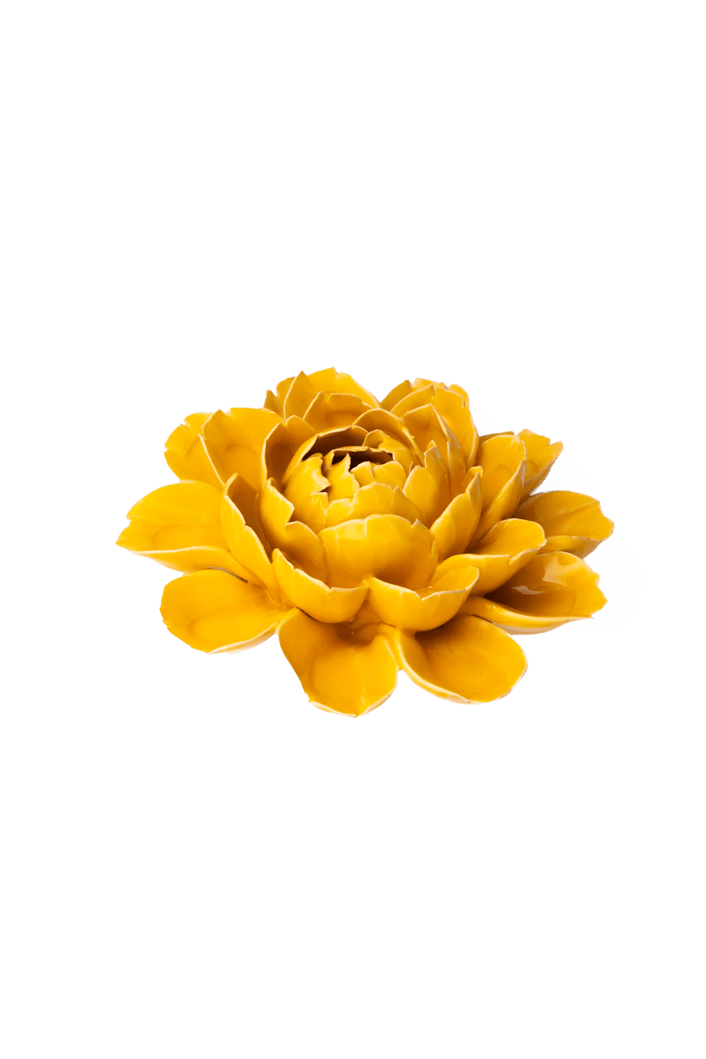 Burnt Yellow Cabbage Flower ceramic wall flower — France collection — designed in Toronto by Chive Studio
