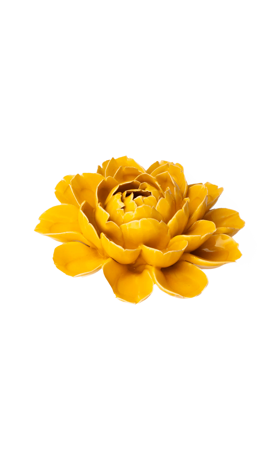 Burnt Yellow Cabbage Flower ceramic wall flower — France collection — designed in Toronto by Chive Studio
