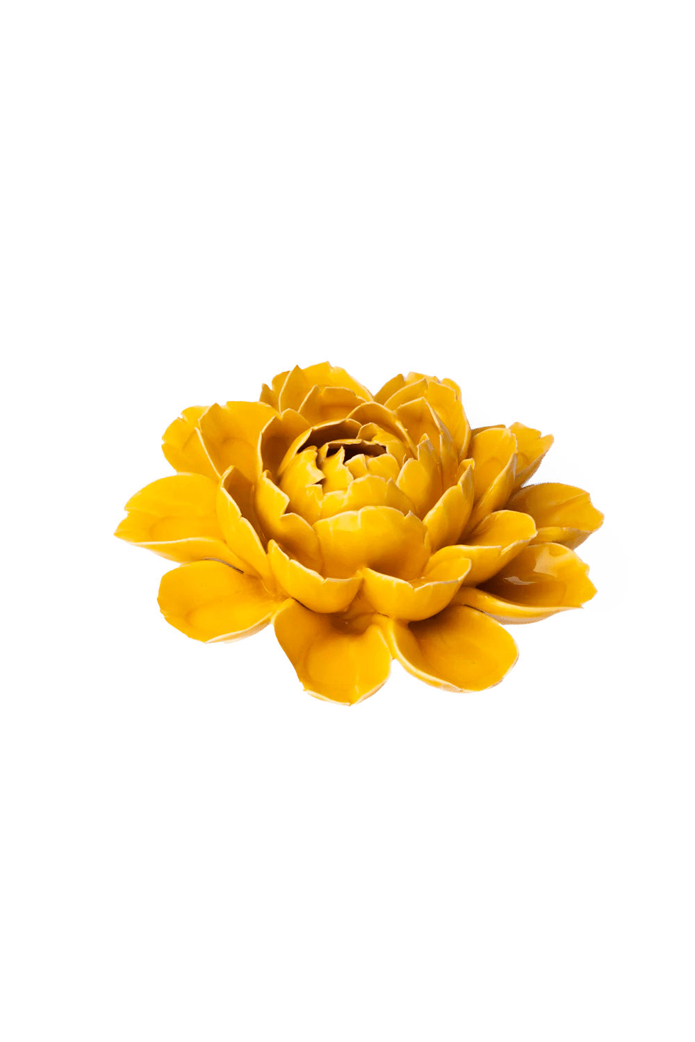 Burnt Yellow Cabbage Flower ceramic wall flower — France collection — designed in Toronto by Chive Studio