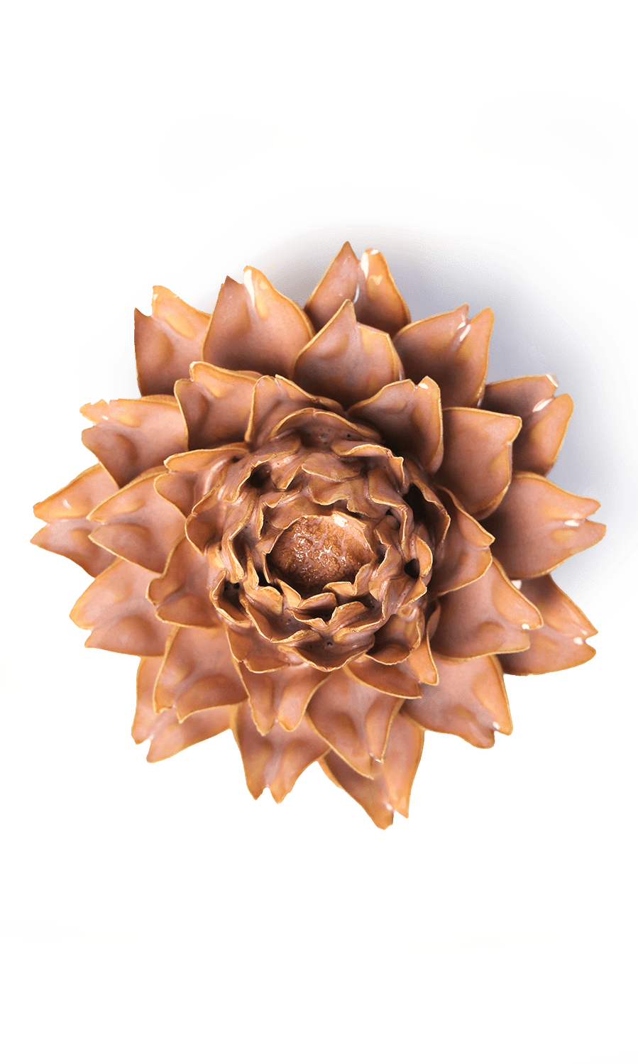 Rose Pink Protea ceramic wall flower — France collection — designed in Toronto by Chive Studio