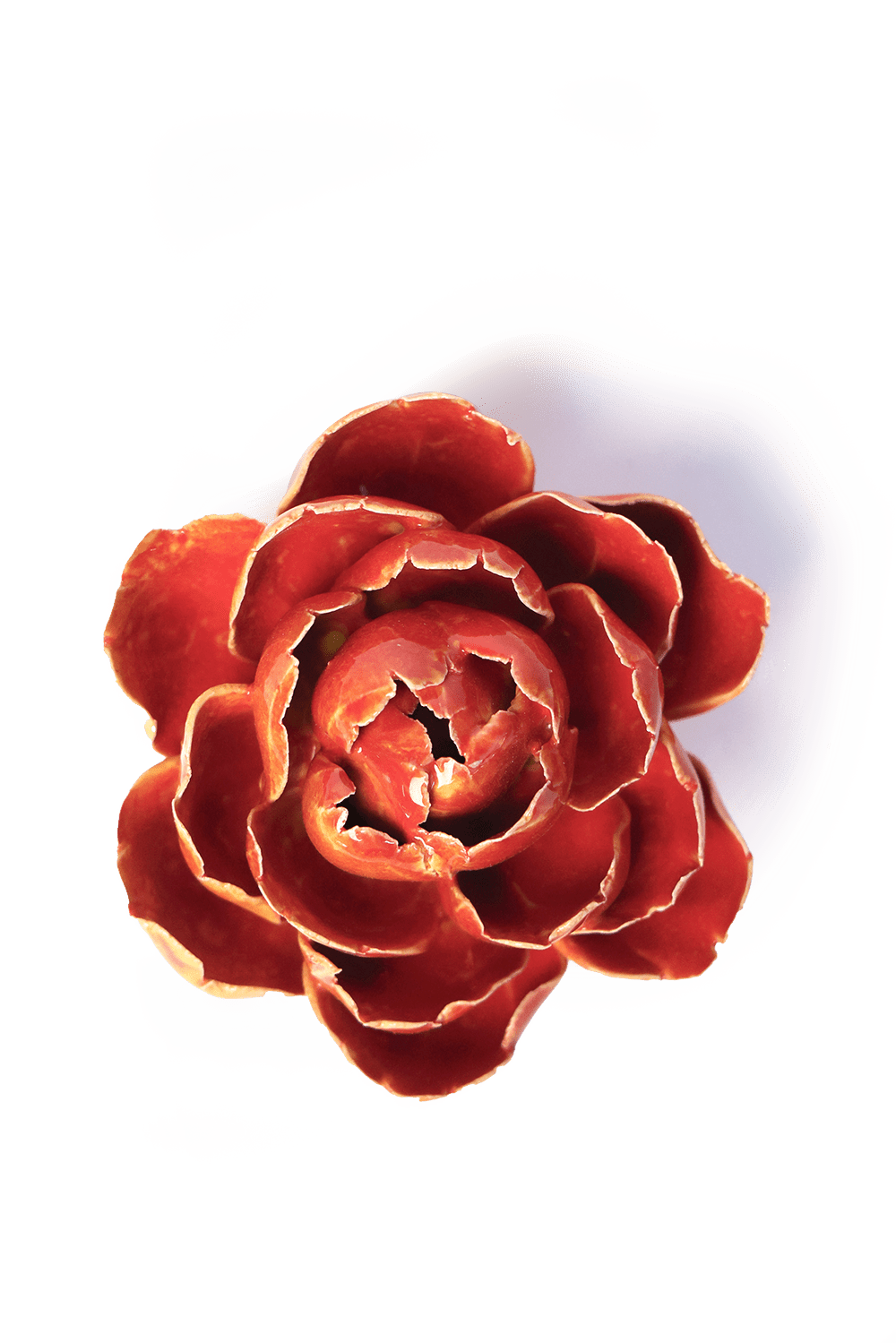 Orange Yellow Gay Paree Peony - Chive Ceramics Studio - Ceramic Flowers - Chive Ceramics Studio