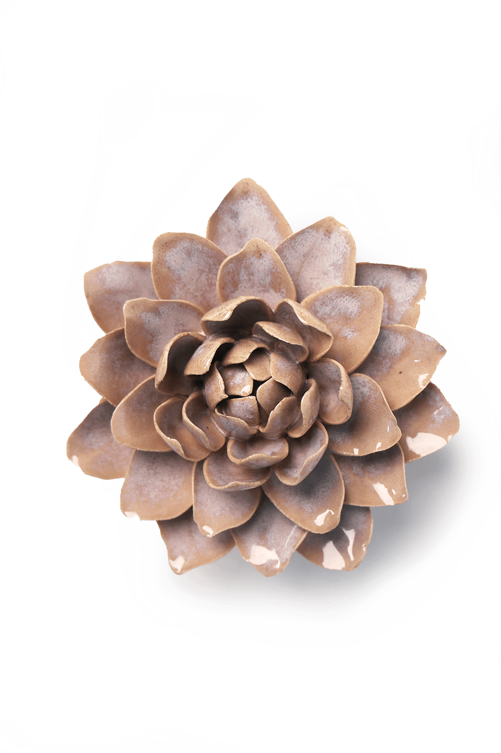 Pink Water Lily ceramic wall flower — France collection — designed in Toronto by Chive Studio