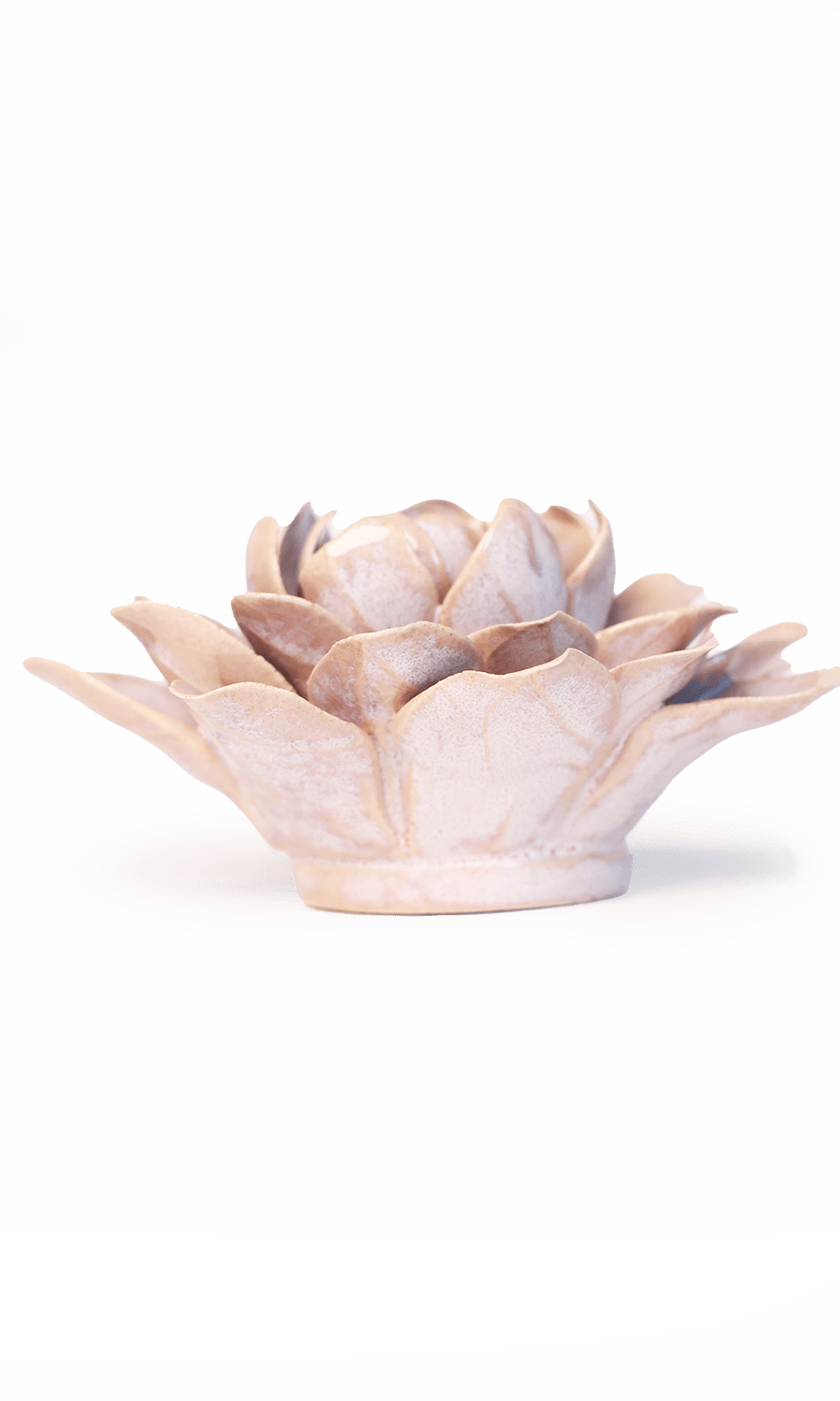 Pink Water Lily ceramic wall flower — France collection — designed in Toronto by Chive Studio