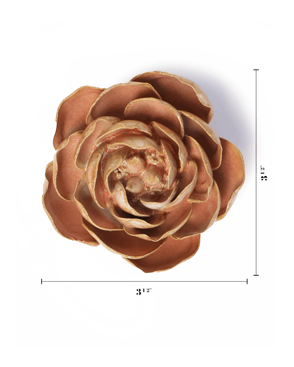 Peach Pink Peony ceramic wall flower — France collection — designed in Toronto by Chive Studio