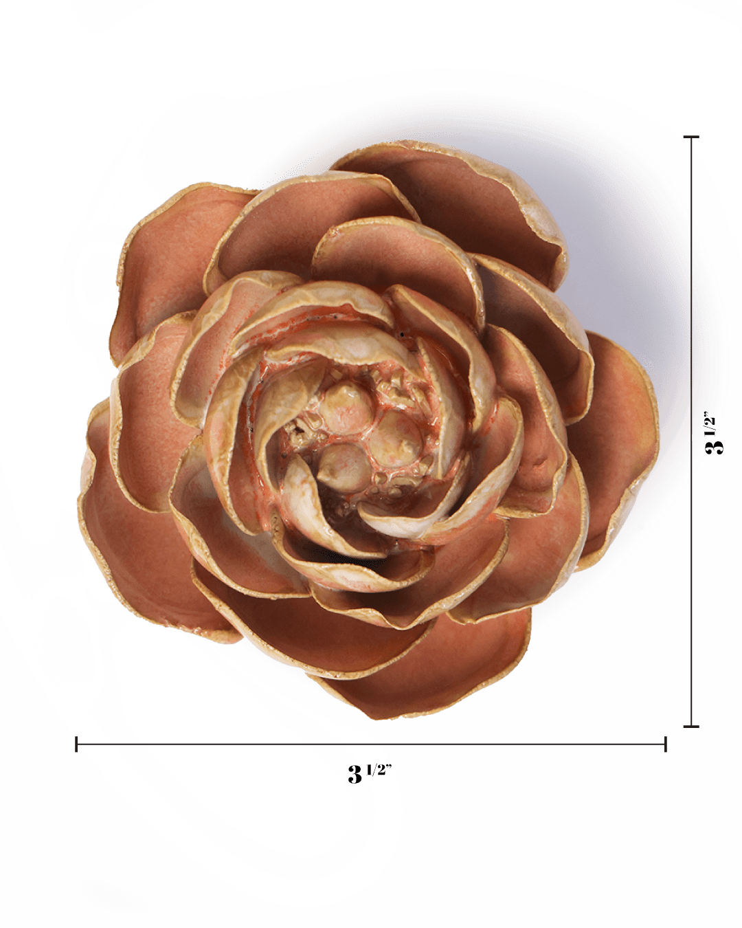 Peach Pink Big Ben Peony - Chive Ceramics Studio - Ceramic Flowers - Chive Ceramics Studio