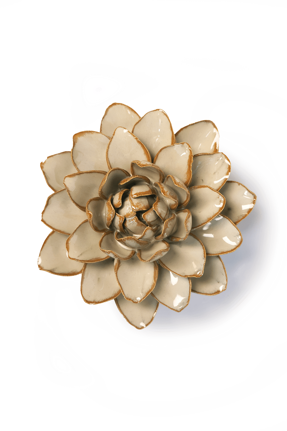 Oatmeal Water Lily ceramic wall flower — France collection — designed in Toronto by Chive Studio