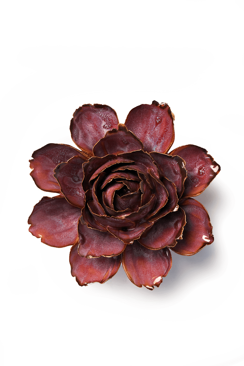 Dewberry Camellia ceramic wall flower — France collection — designed in Toronto by Chive Studio