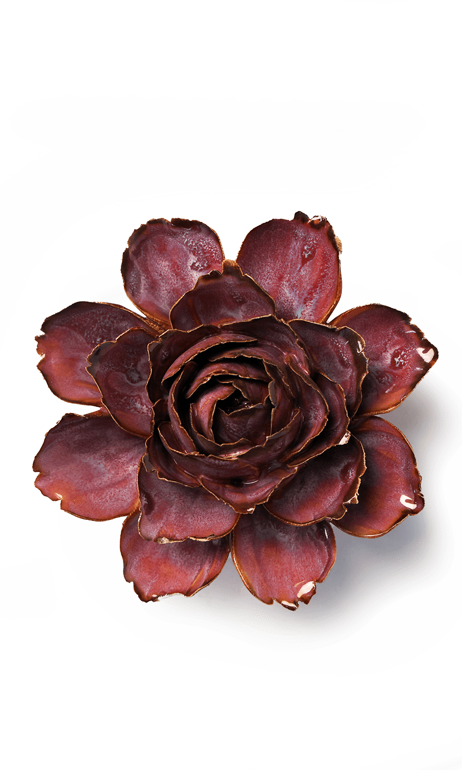 dewberry camellia ceramic wall flower -- France Collection -- handmade by Chive Studio Toronto