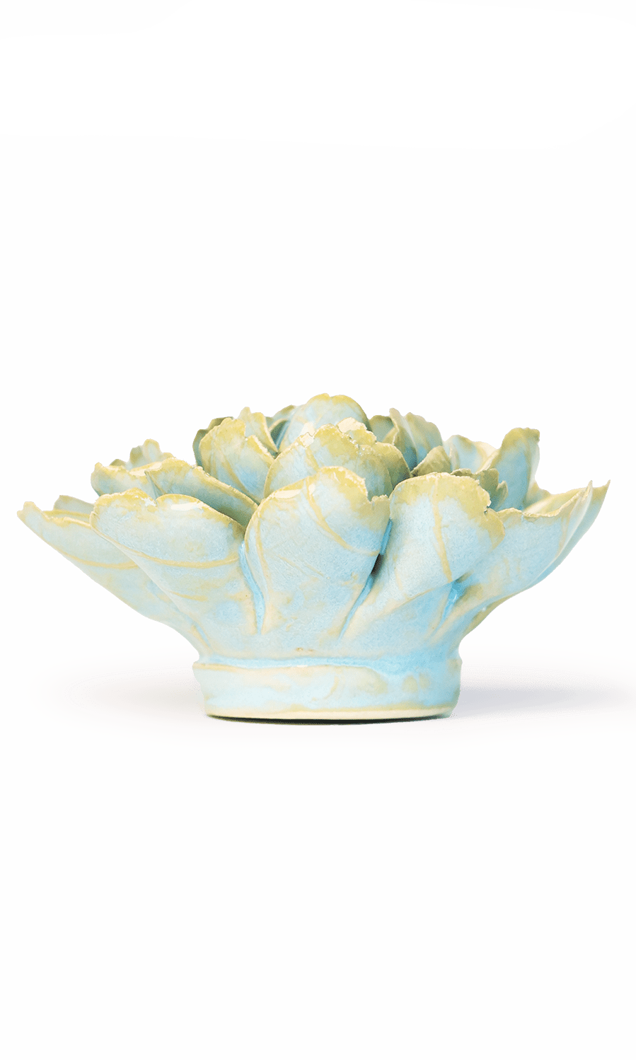 Robin's Egg Blue Marigold ceramic wall flower — France collection — designed in Toronto by Chive Studio