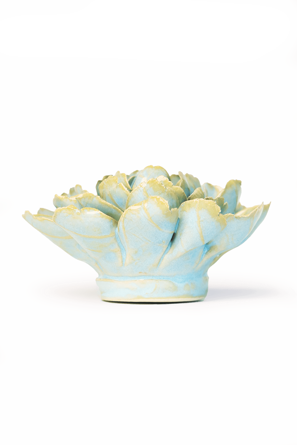 Robin's Egg Blue Marigold ceramic wall flower — France collection — designed in Toronto by Chive Studio