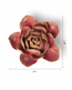 Rose Quartz Pink Narcissus styled flat on a bedroom console, Chive Ceramics Studio