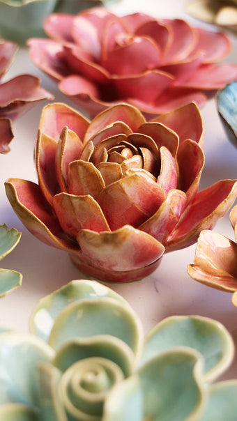 Rose Quartz Pink Narcissus mounted on a bedroom wall, Chive Ceramics Studio