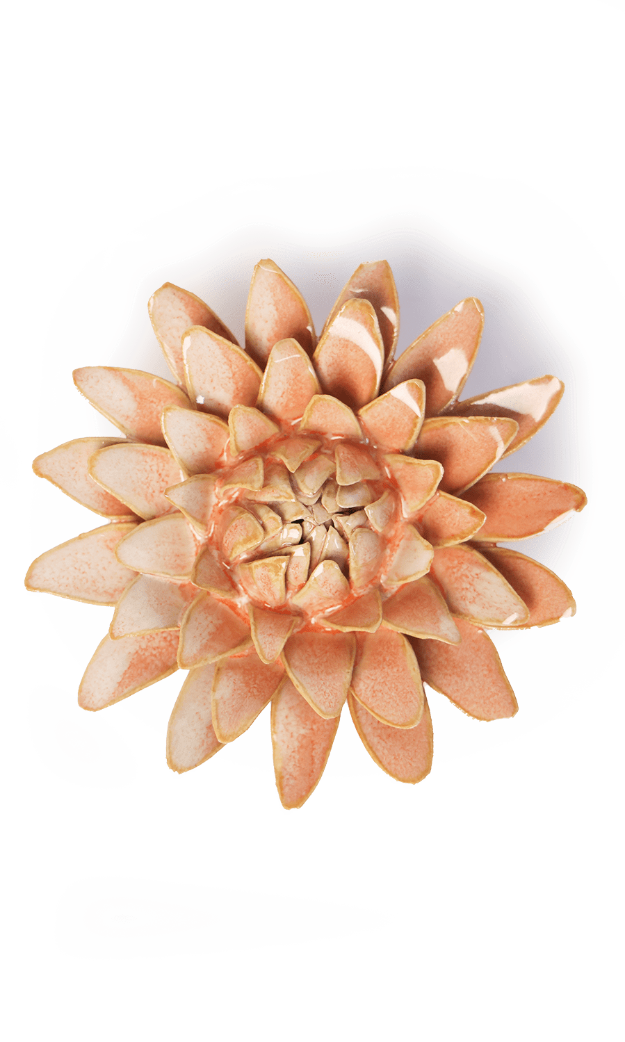 Peach Pink Strawflower ceramic wall flower — France collection — designed in Toronto by Chive Studio