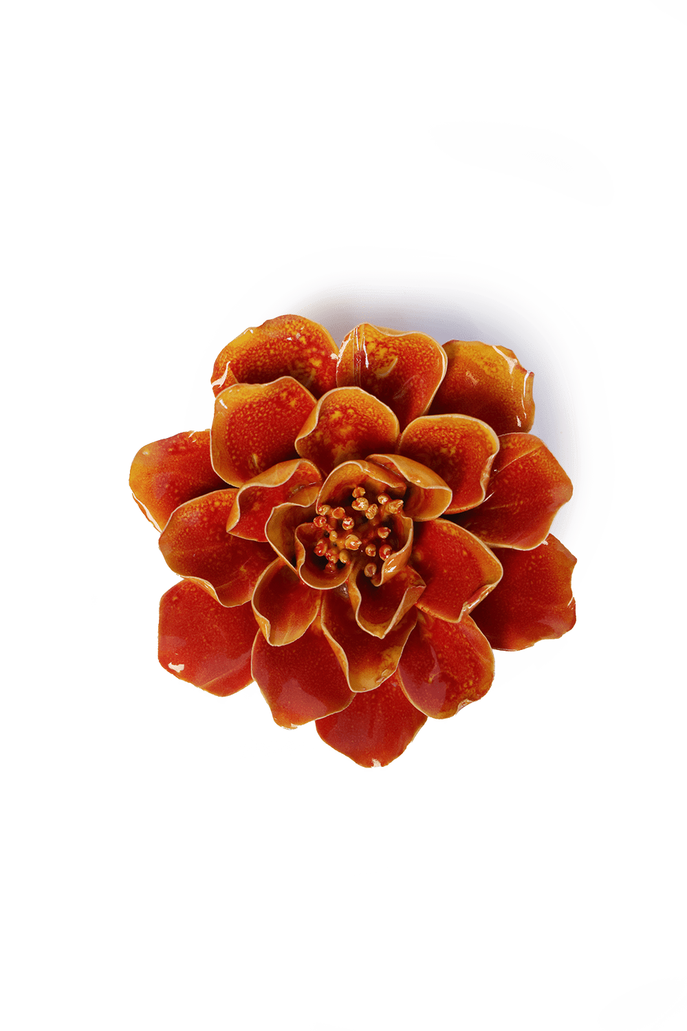 Orange Yellow Coreopsis ceramic wall flower — France collection — designed in Toronto by Chive Studio