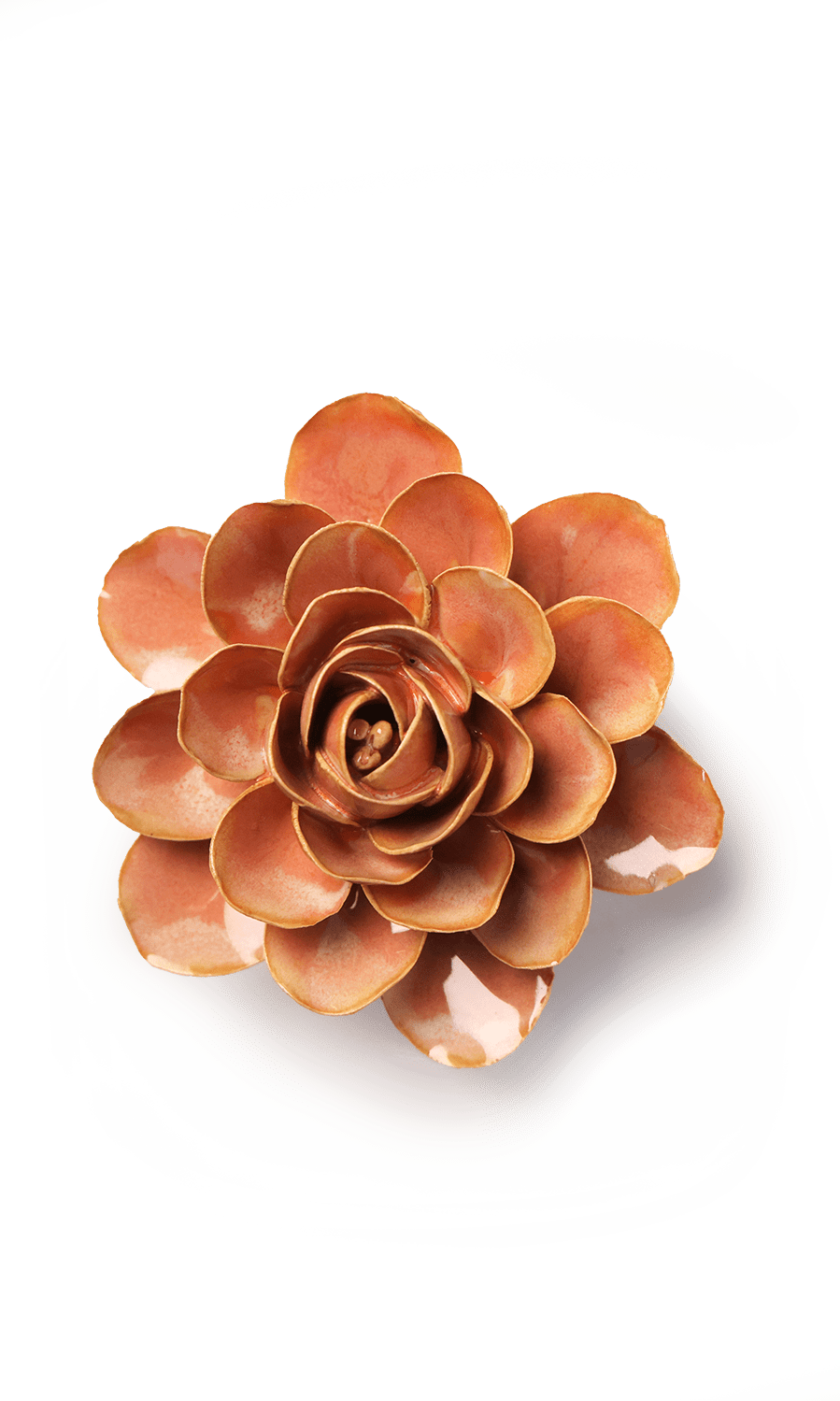 Peach Pink Begonia ceramic wall flower — France collection — designed in Toronto by Chive Studio