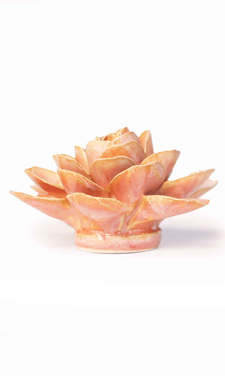 Peach Pink Begonia ceramic wall flower — France collection — designed in Toronto by Chive Studio