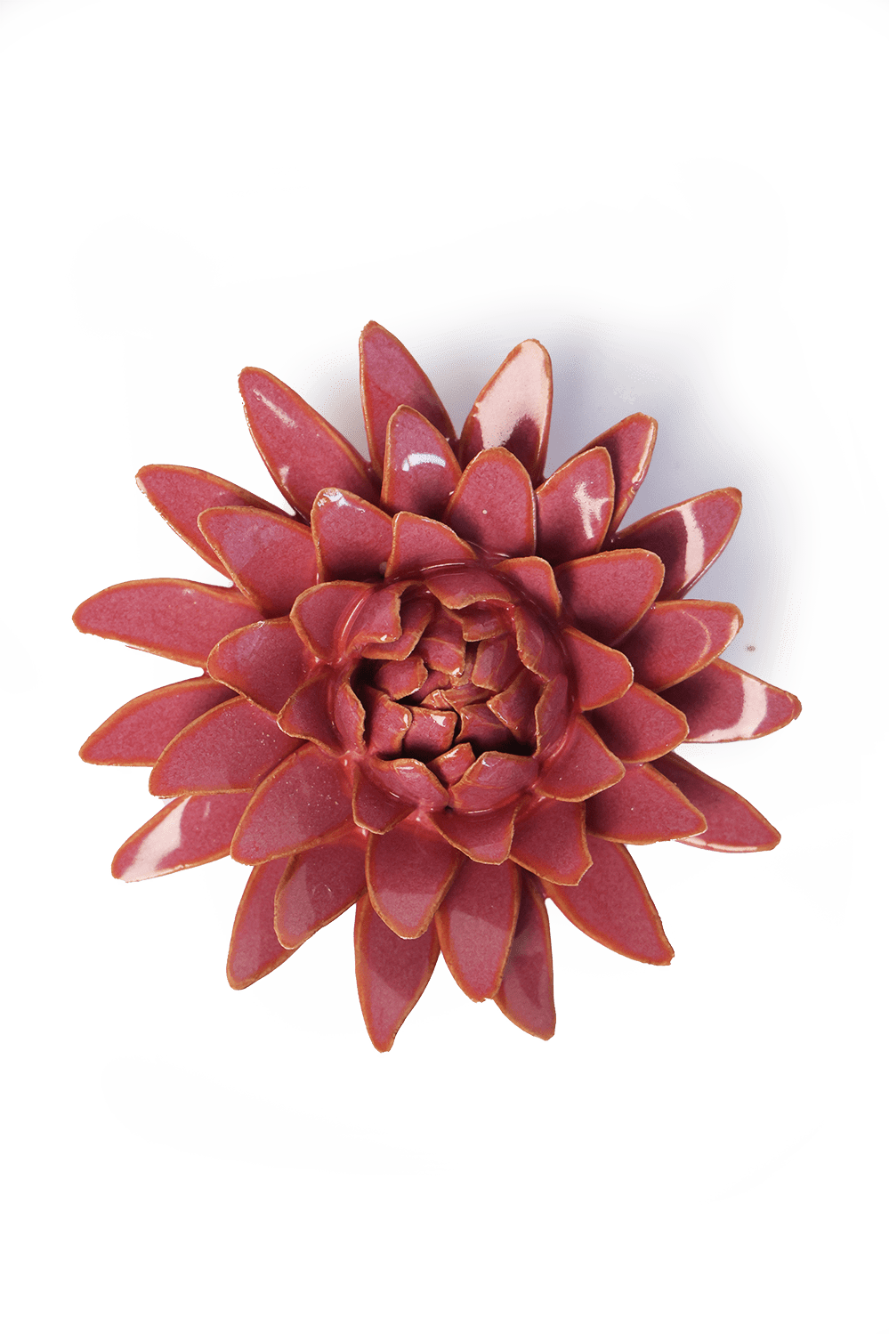 blush pink Strawflower ceramic wall flower -- France Collection -- handmade by Chive Studio Toronto